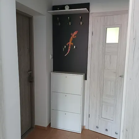 Dana Apartament *